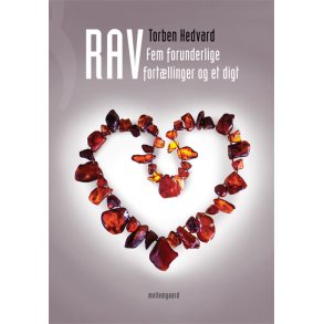 RAV - FEM FORUNDERLIGE FORTÆLLINGER OG ET DIGT – E-bog