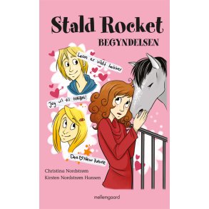 STALD ROCKET - BEGYNDELSEN - E-bog
