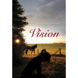 VISION