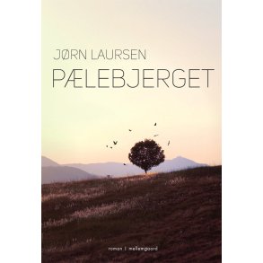 PLEBJERGET