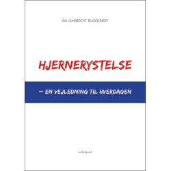 HJERNERYSTELSE - EN VEJLEDNING TIL HVERDAGEN