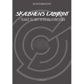 SKBNENS LABYRINT