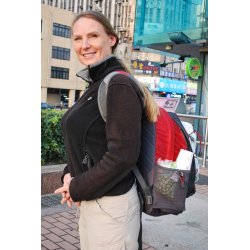 LYNKINESERE OG SDE ASIER - EN REJSE TVRS GENNEM ASIEN