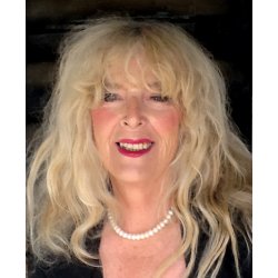 SUPER MOUSE OG FEJLFINDERNE. EN JULEKALENDER