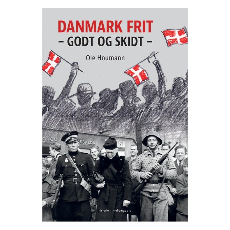 Danmark frit. Godt og skidt E-bog
