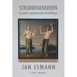 Strandvaskeren og andre opmuntrende fortllinger