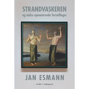 Strandvaskeren og andre opmuntrende fortllinger