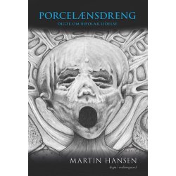 PORCELNSDRENG  DIGTE OM BIPOLAR LIDELSE