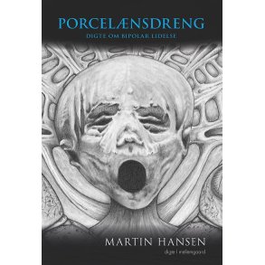 PORCELNSDRENG  DIGTE OM BIPOLAR LIDELSE