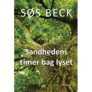 SANDHEDENS TIMER BAG LYSET
