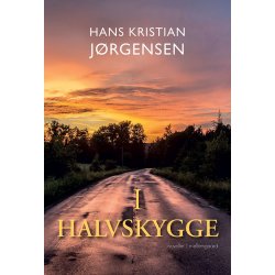 I HALVSKYGGE
