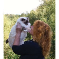 SOM ENGLE - DER HOLDER VAGT