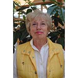 DEN BOSNISKE FORBINDELSE