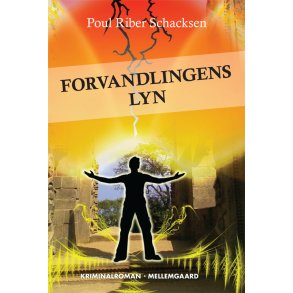 FORVANDLINGENS LYN (e-bog - format EPUB)