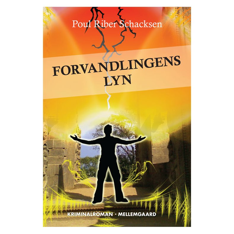 FORVANDLINGENS LYN (e-bog - format EPUB)