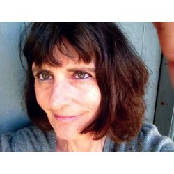 PESTEN P&Aring; L&Oslash;VENDAL