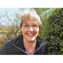 STILHED INDEFRA (E-bog)