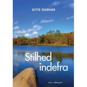 STILHED INDEFRA (E-bog)