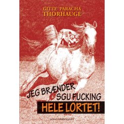 JEG BR&AElig;NDER SGU FUCKING HELE LORTET