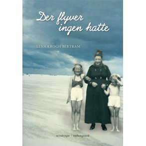 DER FLYVER INGEN HATTE