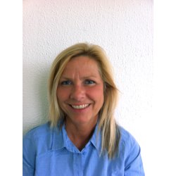 GIVE IT SOME ENGLISH 2