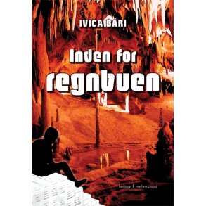 INDEN FOR REGNBUEN - E-bog
