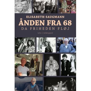 NDEN FRA 68 - Da friheden flj