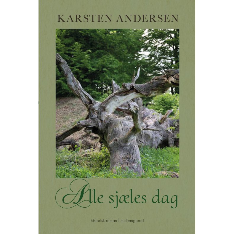 ALLE SJLES DAG