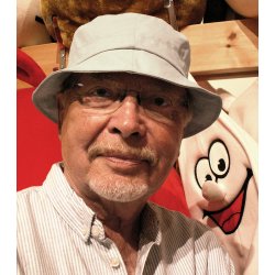 HVAD STUEPIGERNE FORTALTE ... om de tre gamle badehoteller i Kandestederne