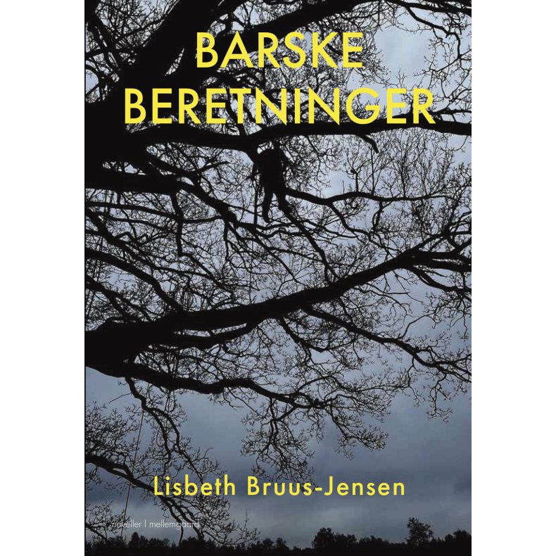 BARSKE BERETNINGER