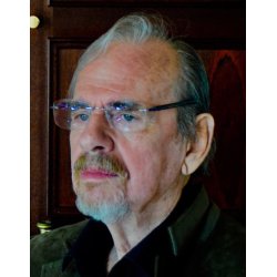 DEN FORSINKEDE SOLSTRLE