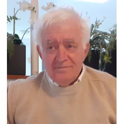 HNDBOG FOR PLATTENSLAGERE - Lgnehistorier i udvalg