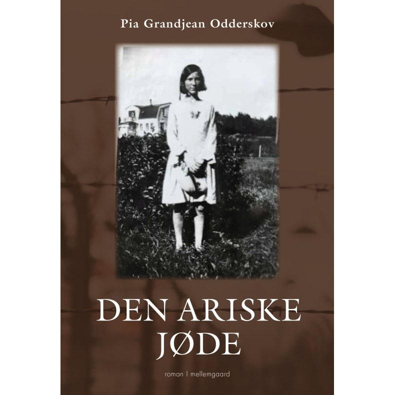 DEN ARISKE JDE