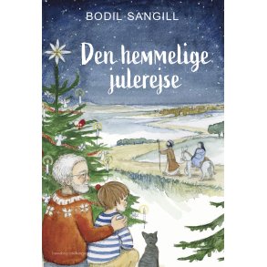 DEN HEMMELIGE JULEREJSE
