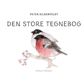 DEN STORE TEGNEBOG
