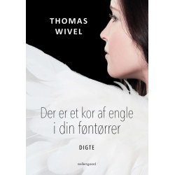 DER ER ET KOR AF ENGLE I DIN FNTRRER