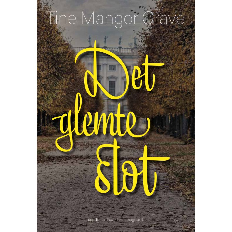 DET GLEMTE SLOT