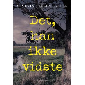 DET, HAN IKKE VIDSTE