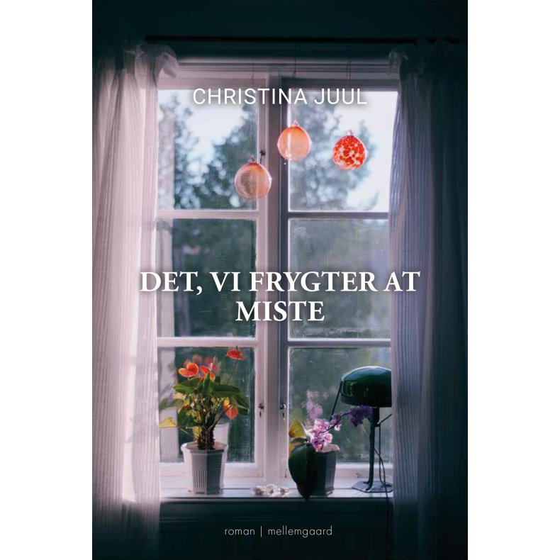DET, VI FRYGTER AT MISTE E-bog