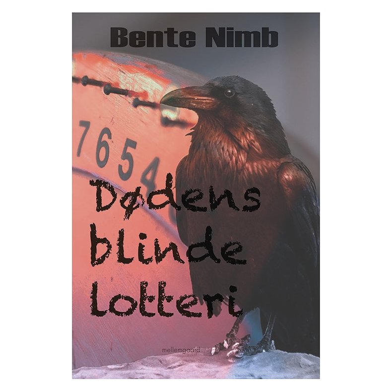 DDENS BLINDE LOTTERI