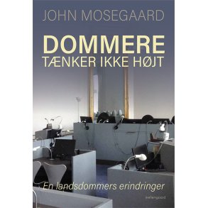 DOMMERE TNKER IKKE HJT - En landsdommers erindringer