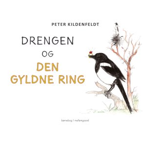 DRENGEN OG DEN GYLDNE RING