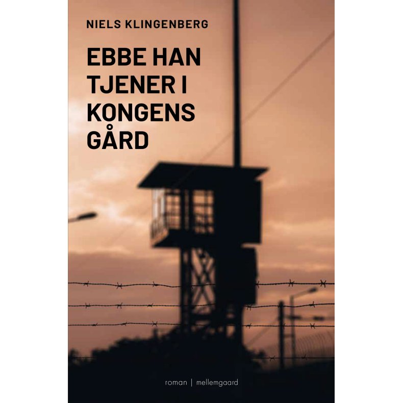 EBBE HAN TJENER I KONGENS GRD