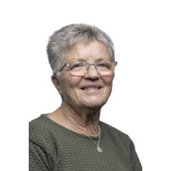 REFLEKSIONER - ord p Vejen