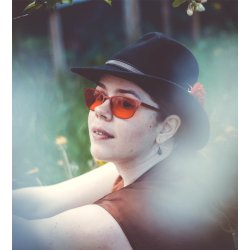 DE UDVALGTE - Gudernes kabale bind 5