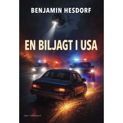 EN BILJAGT I USA