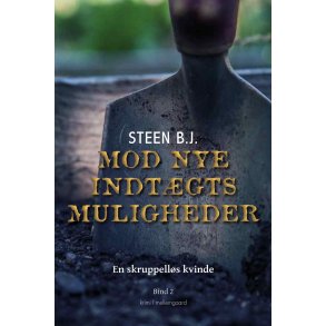 MOD NYE INDTGTSMULIGHEDER - En skruppells kvinde bind 2