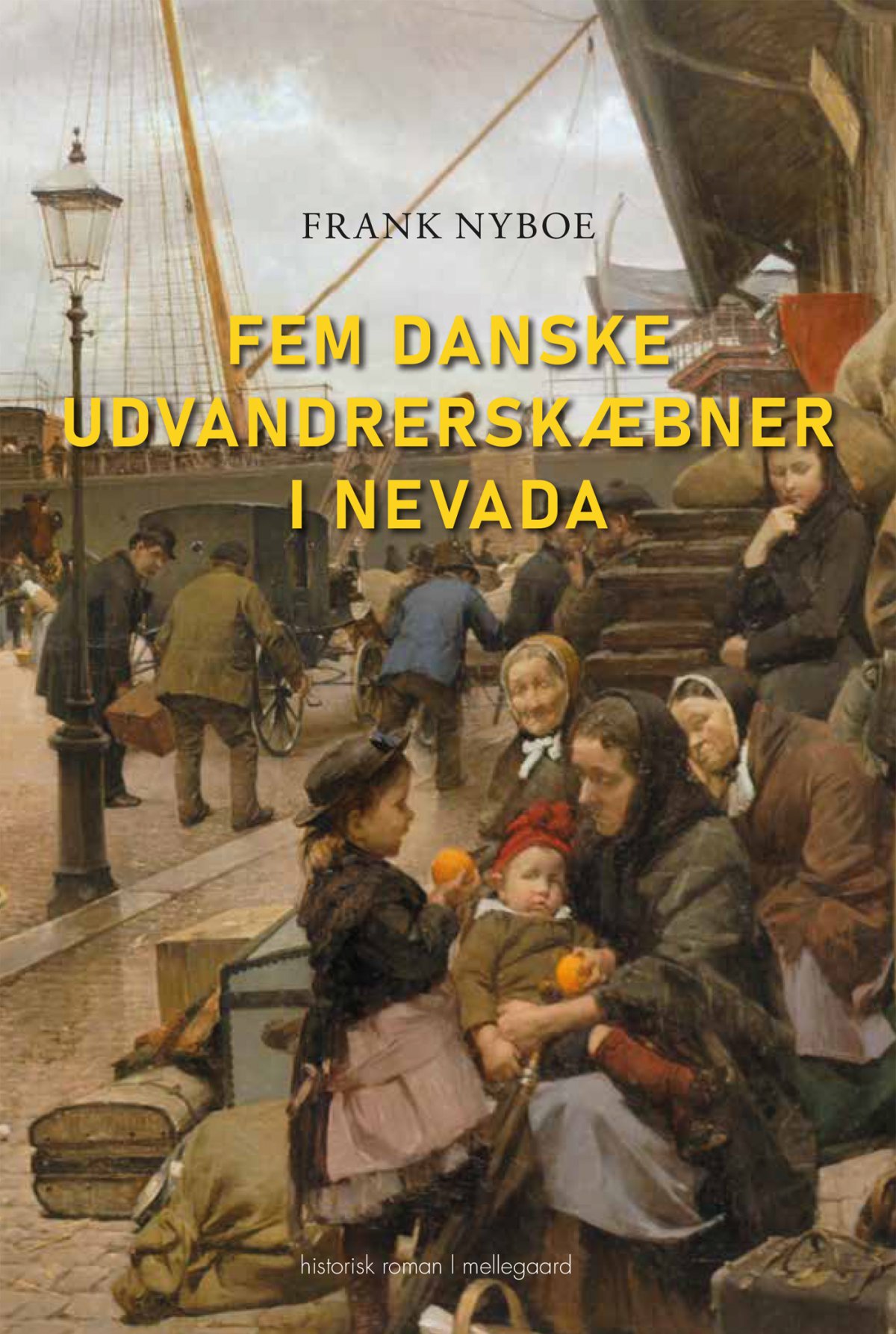 FEM DANSKE UDVANDRERSKÆBNER I NEVADA - Skønlitteratur - Voksne pic