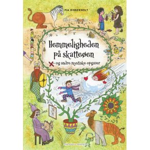 HEMMELIGHEDEN P SKATTEEN  og andre mystiske opgaver