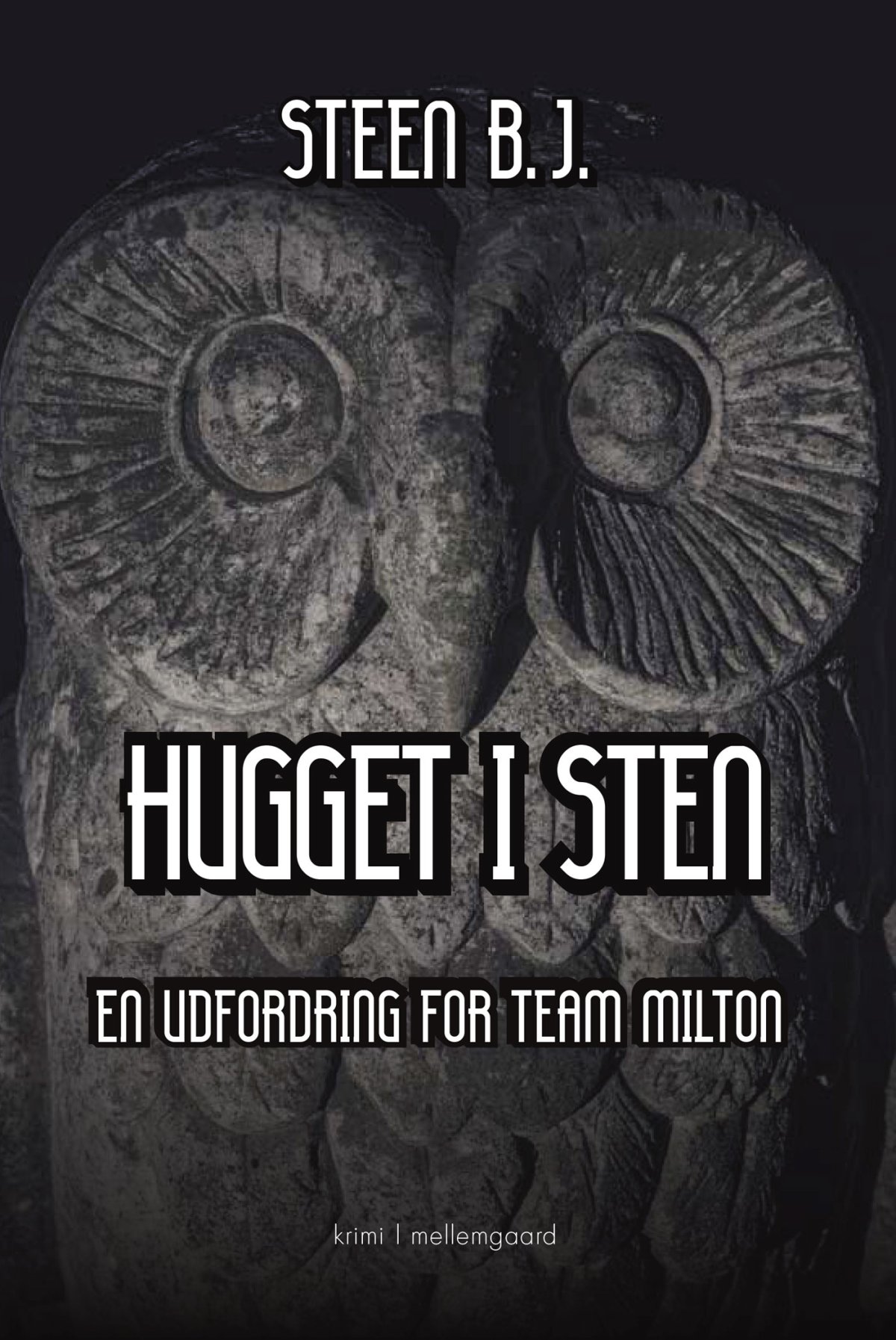 HUGGET I STEN - En udfordring for Team Milton - Krimi- og ...